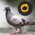 ZooVenture Bagues pour pattes d'oiseaux