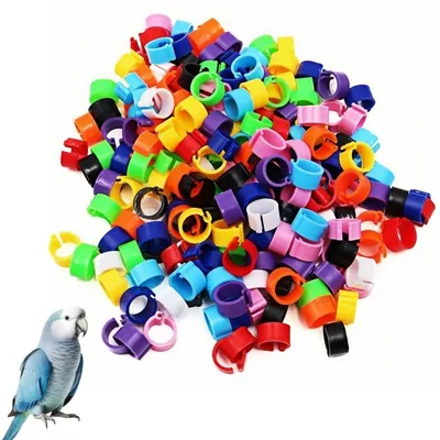 ZooVenture Bagues pour pattes d'oiseaux ZooVenture Bagues pour pattes d'oiseaux