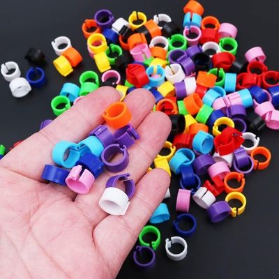 ZooVenture Anillos para patas de pájaro