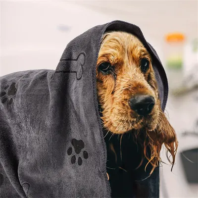 IntiMeg Serviette de bain pour animaux de compagnie 60 x 100 cm