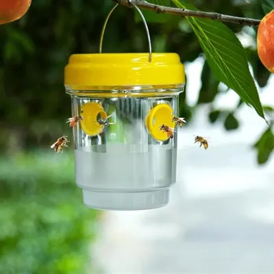 ZooVenture Lot de 2 Pièges à mouches LED solaires pour extérieur ZooVenture Lot de 2 Pièges à mouches LED solaires pour extérieur