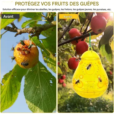ZooVenture Pièges à guêpes pour extérieur