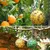 ZooVenture Lot de 20 pièges à mouches pour extérieur ZooVenture Lot de 20 pièges à mouches pour extérieur