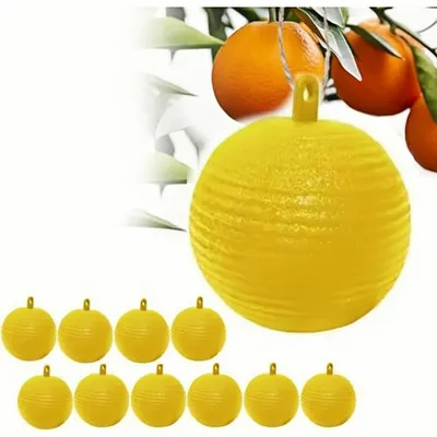 ZooVenture Lot de 20 pièges à mouches pour extérieur ZooVenture Lot de 20 pièges à mouches pour extérieur