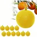 ZooVenture Lot de 10 pièges à mouches pour extérieur