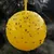 ZooVenture Lot de 20 pièges à mouches pour extérieur ZooVenture Lot de 20 pièges à mouches pour extérieur