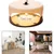 ZooVenture Pièges anti-puces pour maison ZooVenture Pièges anti-puces pour maison
