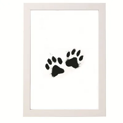 IntiMeg Ensemble pour empreintes de pattes de chien
