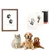 IntiMeg Ensemble pour empreintes de pattes de chien