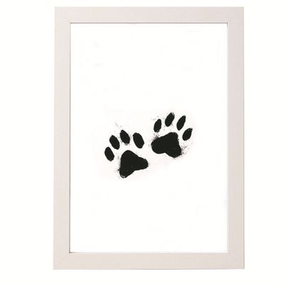 IntiMeg Kit de huellas de patas de perro