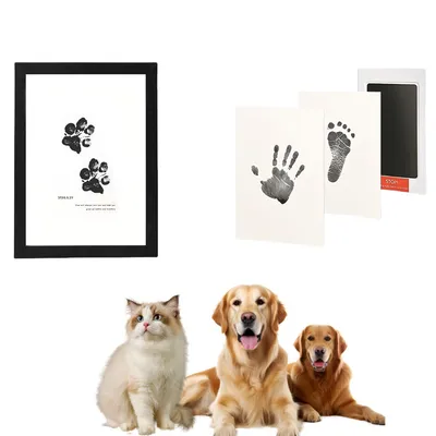 IntiMeg Ensemble pour empreintes de pattes de chien