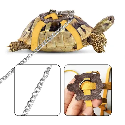 ZooVenture Harnais en cuir pour petite tortue