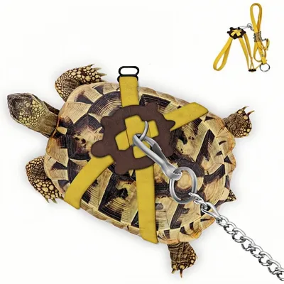 ZooVenture Harnais en cuir pour petite tortue