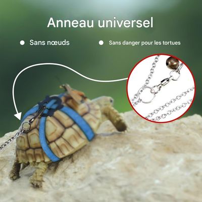 ZooVenture Arnés de cuero para tortuga pequeña