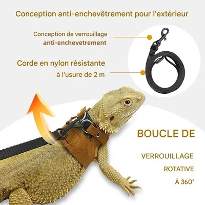 ZooVenture Ensemble harnais et laisse pour petits animaux