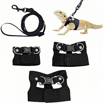 ZooVenture Ensemble harnais et laisse pour petits animaux