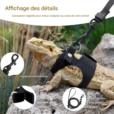 ZooVenture Ensemble harnais et laisse pour petits animaux