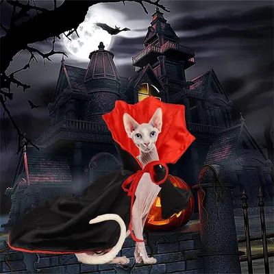 IntiMeg Vampir-Kostüm für Hunde und Katzen IntiMeg Vampir-Kostüm für Hunde und Katzen