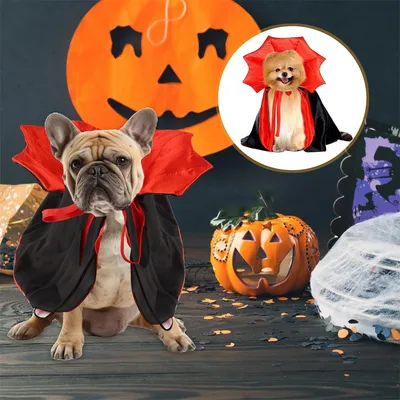 IntiMeg Vampir-Kostüm für Hunde und Katzen IntiMeg Vampir-Kostüm für Hunde und Katzen