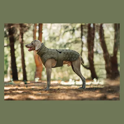 IntiMeg Winterjacke für Hunde IntiMeg Winterjacke für Hunde