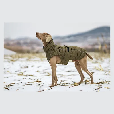 IntiMeg Winterjacke für Hunde IntiMeg Winterjacke für Hunde