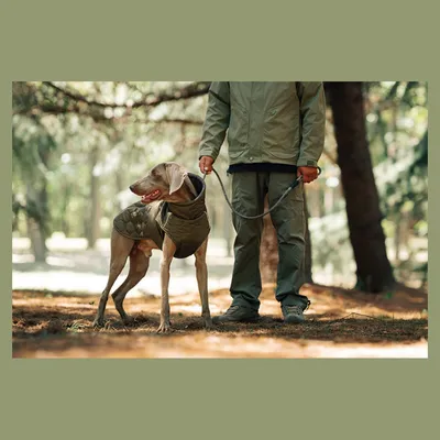 IntiMeg Winterjacke für Hunde IntiMeg Winterjacke für Hunde