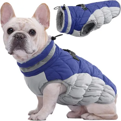 IntiMeg warme Hunde-Schutzjacke IntiMeg warme Hunde-Schutzjacke