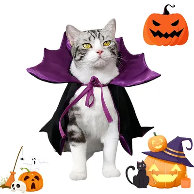 IntiMeg Vampir-Kostüm für Hunde und Katzen IntiMeg Vampir-Kostüm für Hunde und Katzen