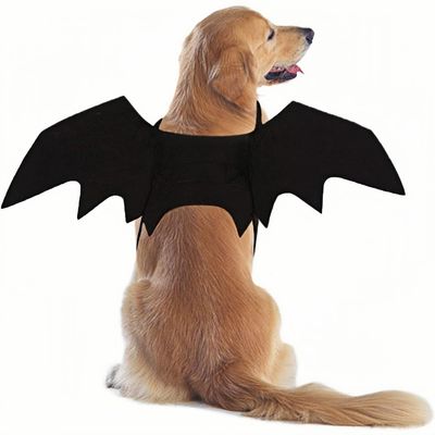 ZooVenture Costume chauve - souris pour grands chiens