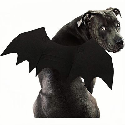ZooVenture Costume chauve - souris pour grands chiens
