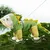 IntiMeg Regenmantel für Hunde in Dinosaurierform IntiMeg Regenmantel für Hunde in Dinosaurierform