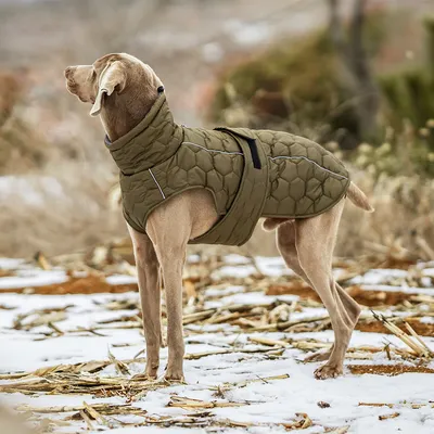 IntiMeg Winterjacke für Hunde IntiMeg Winterjacke für Hunde