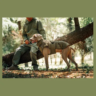 IntiMeg Winterjacke für Hunde IntiMeg Winterjacke für Hunde