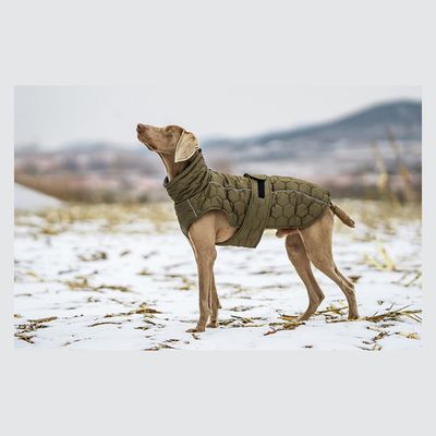 IntiMeg Chaqueta de invierno para perros