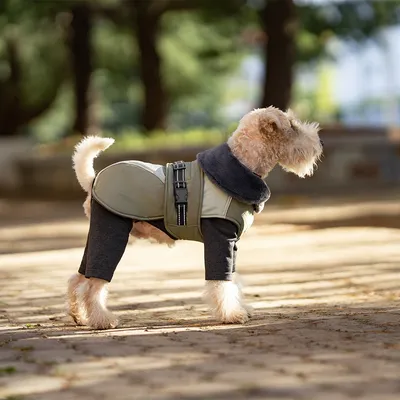 IntiMeg wasserdichte und warme Hundeweste IntiMeg wasserdichte und warme Hundeweste