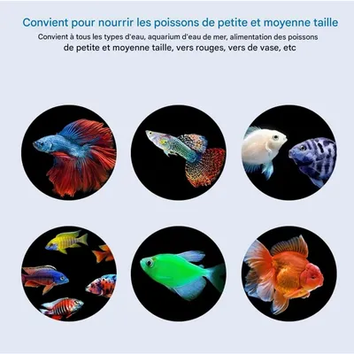 ZooVenture Support pour plantes d'aquarium