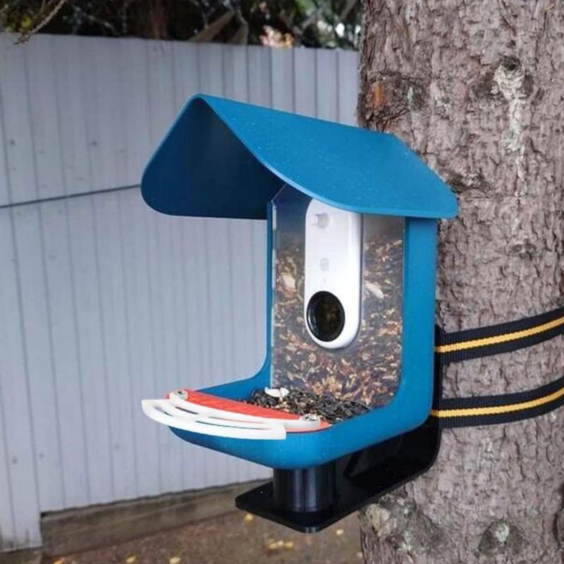 ZooVenture Accessoire d'extension pour distributeur d'aliments pour oiseaux