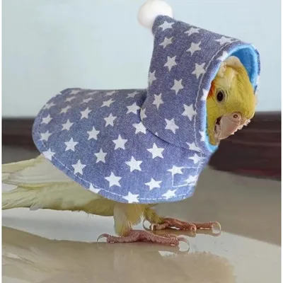 ZooVenture Vêtements pour oiseaux