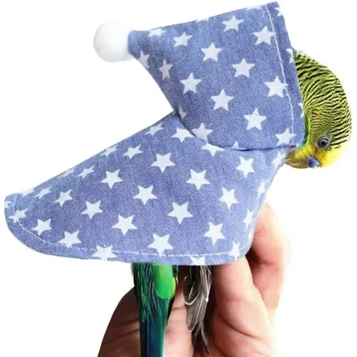 ZooVenture Vêtements pour oiseaux