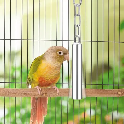 ZooVenture Deux jouets pour perroquets et oiseaux
