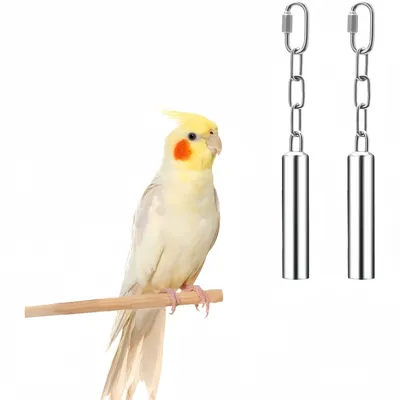 ZooVenture Deux jouets pour perroquets et oiseaux