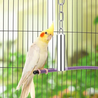 ZooVenture Deux jouets pour perroquets et oiseaux