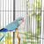 ZooVenture Deux jouets pour perroquets et oiseaux