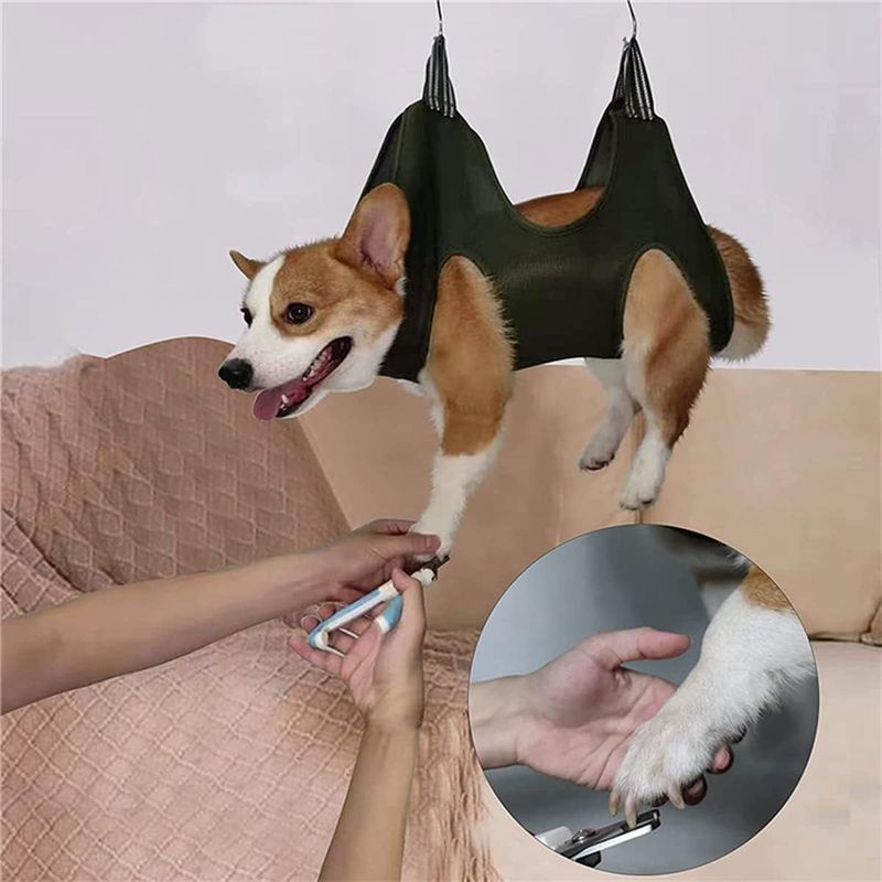 IntiMeg Kit de toilettage pour chien professionnel