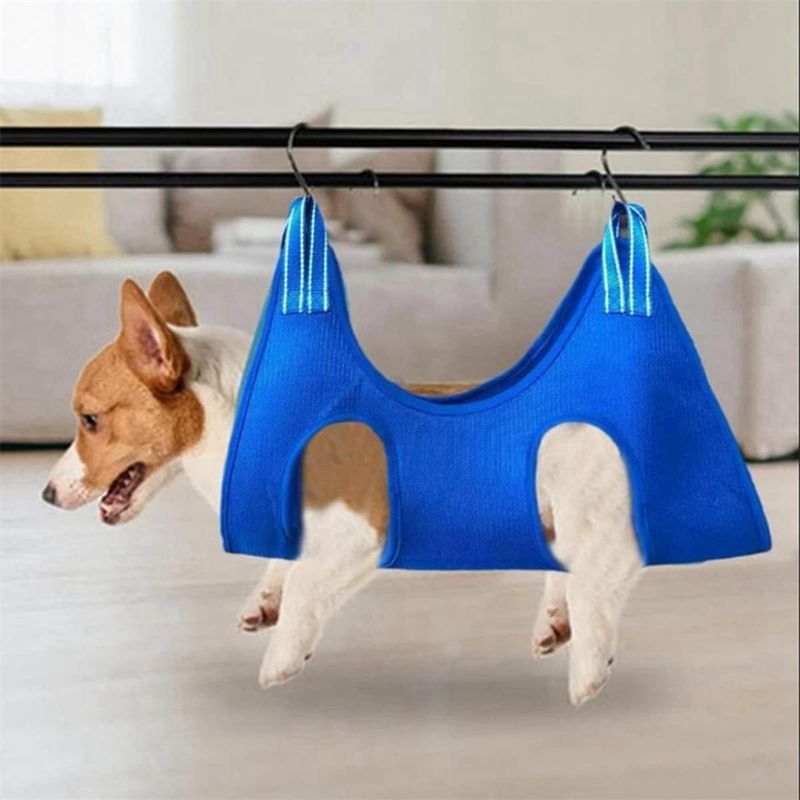 IntiMeg Kit de toilettage pour chien professionnel