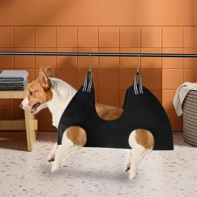 IntiMeg Kit de toilettage pour chien professionnel