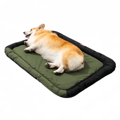 IntiMeg Tapis en toile d'oxford pour Chiens et chats