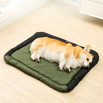 IntiMeg Alfombra de tela Oxford para perros y gatos