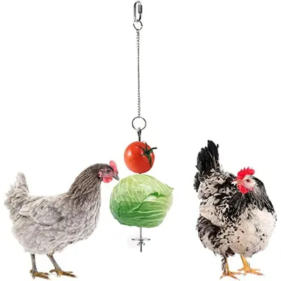 ZooVenture Brocheta de fruta y comedero para pájaros
