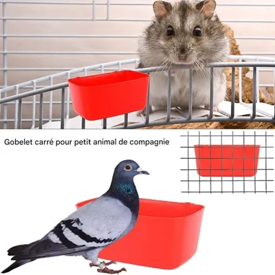ZooVenture Lot de 10 bols d'alimentation et abreuvoirs pour cage d'oiseaux